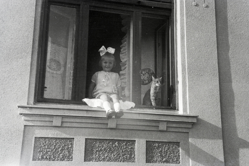Zseniális képek macska és ember utánozhatatlan viszonyáról - Különleges régi fotók az elmúlt száz évből