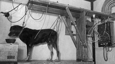 Hiába a kegyetlen kutyakísérletek, megdőlt az egyik legismertebb elmélet