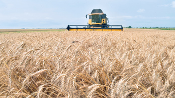 Brüsszel akciótervet készít az ukrán agrárexport felpörgetésére
