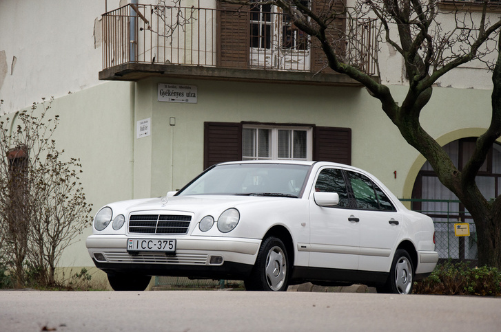 Bár a W210-es E-osztály híresült el róla, a baktériumos festék okozta korróziós probléma a korszak legtöbb Mercedes típusát elérte