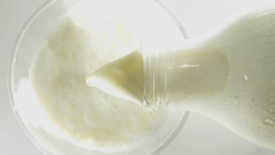 A bolygóbarát növényi tejek kiválthatják a tehéntejet?