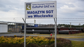 Magyar cég is érintett Putyin válaszcsapásában