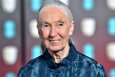 Fiatalkori fotókon Jane Goodall, az őserdő lánya: felismered ezeken a régi képeken?
