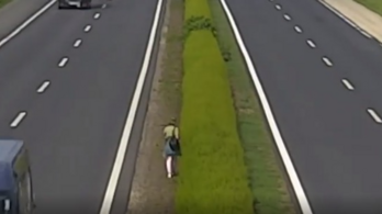 Néhány méterre az autóktól sétált egy nő Győrbe az M1-esen