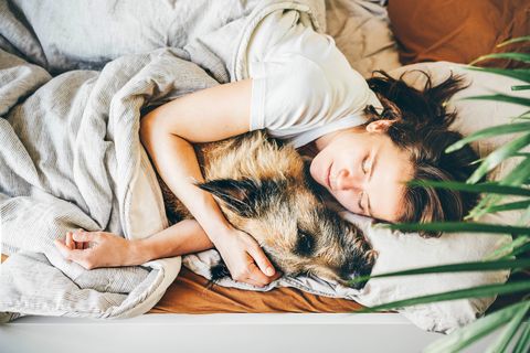 Ilyen pozitív hatással van rád, ha az ágyadba engeded a kutyát
