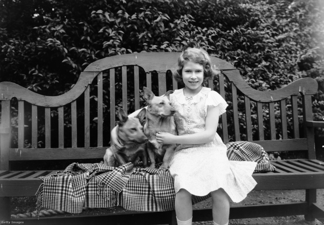 Erzsébet hercegnő 1936-ban a londoni otthonuk kertjében két corgijával