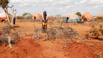 ENSZ: Szomália az éhínség szélén áll