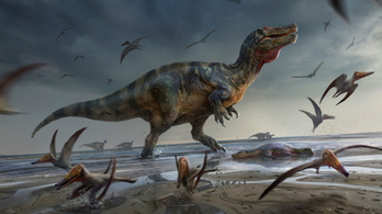 Hatalmas dinoszaurusz maradványait találták meg Nagy-Britanniában