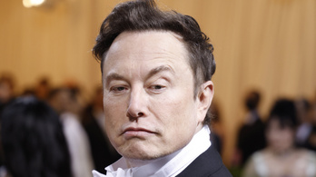 A hamis profilok miatt visszaléphet Elon Musk a Twitter megvásárlásától