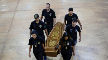 Megtalálták az Amazonasban eltűnt brit újságíró maradványait