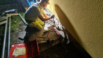 Véletlenül bebetonoztak egy macskát a budapesti felújításon