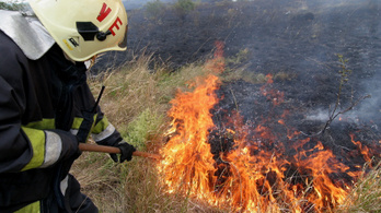 Fokozott tűzveszélyt hirdettek Pest és Veszprém megyében is