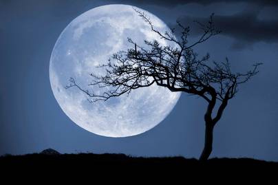 Így nagyon ritkán lehet látni a holdat: ezek a fotók becsapják az agyat is