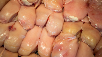 Szlovákiából származó árstopos csirkemellet árulnak a magyar húspultban