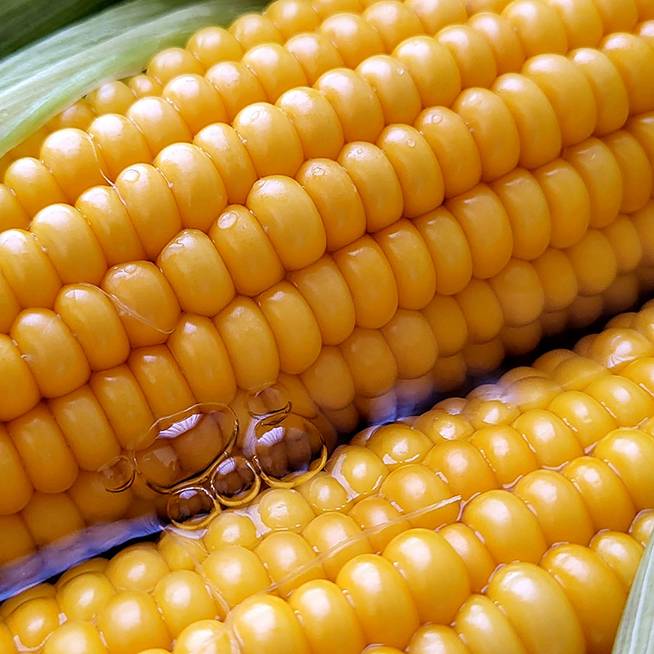 Így lesz igazán finom a főtt kukorica: videóban mutatjuk, hogy lesz tökéletes