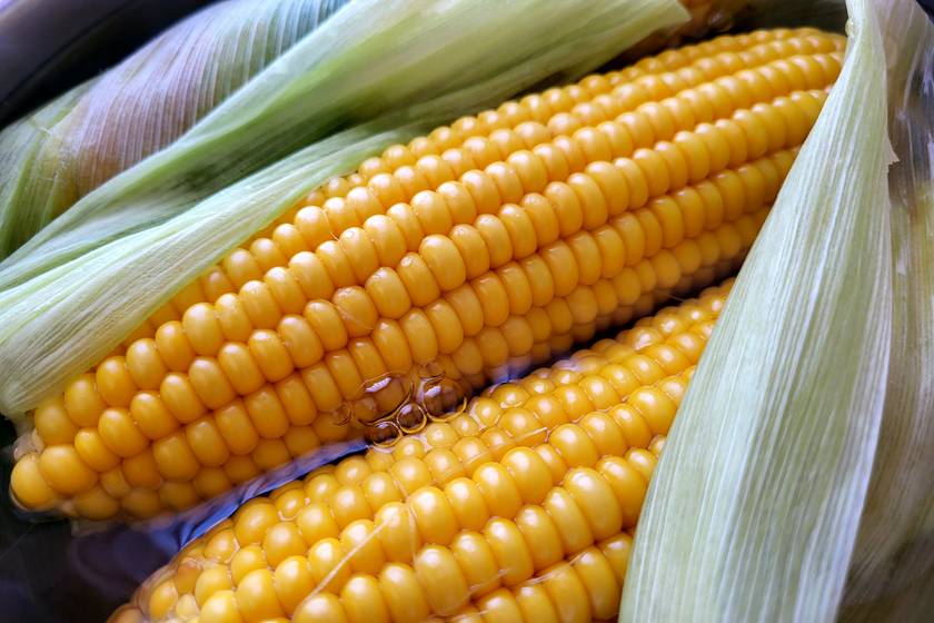 Így lesz igazán finom a főtt kukorica: videóban mutatjuk, hogy lesz tökéletes