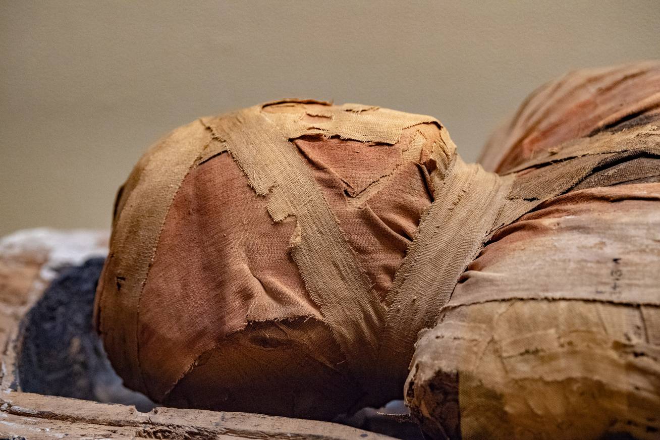 Egyiptomi múmia orvosi fogyasztásra