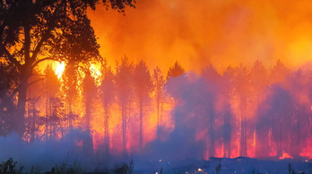 Több mint ötven hektáron égett az erdő Soltszentimre közelében