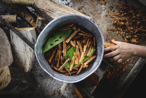 Így zajlik egy ayahuascaszeánsz: szakértő magyaráz el mindent, amit tudni akartál a titokzatos növényről