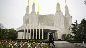 A punk mikulás hitehagyott mormonokkal varázsgombázik