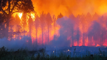 Még mindig lángol az erdő Soltszentimrén, az aszály miatt nem megy az oltás