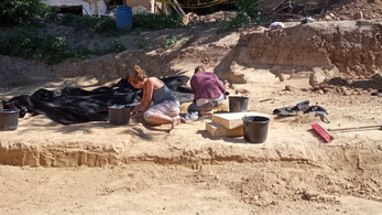 Mamutmaradványokat találtak Baranya megyében