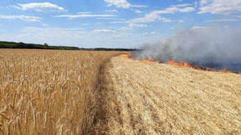 Megugrott a mezőgazdasági tűzesetek száma