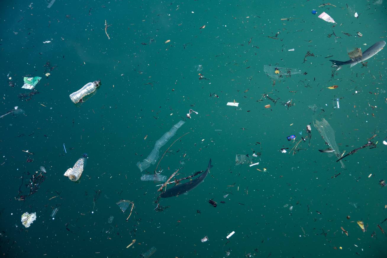 Mikroműanyag-szennyezés a vizekben