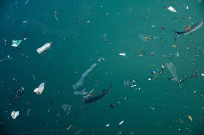 Mikroműanyagok a vizekben: nagyobb a baj mint gondolták