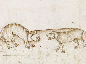 Kampó és Küllőcske volt a népszerű kutyanév a középkorban