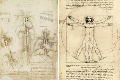 Legalább 30 testet felboncolt életében: így térképezte fel Da Vinci az emberi szervezetet