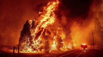 Lángokban áll Kalifornia, vészhelyzetet hirdettek Amerikában