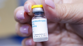 Heteken belül megérkezhet Magyarországra a majomhimlő elleni vakcina
