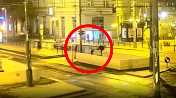 Szórakozni indultak, majd négy nőt támadtak meg Budapesten