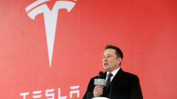 Környezetvédők könyörögnek Elon Musknak