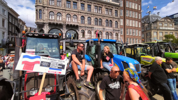 Ismét tüntetnek a holland gazdák