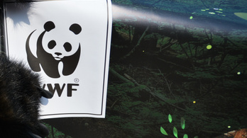 WWF: Ha mindenki úgy élne, mint a magyarok, öt hónap alatt elfogynának a Föld éves erőforrásai