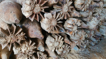 Több mint nyolcvan világháborús gránátot találtak Székesfehérváron