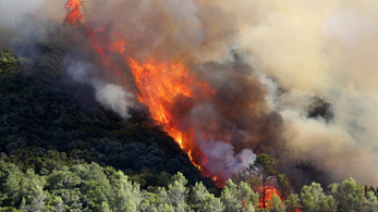 Közel 1200 hektárt perzseltek fel a lángok Franciaország délkeleti részén