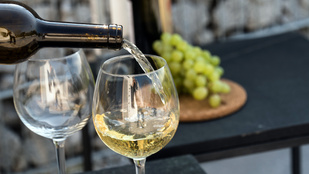 Magyar bor nyert platinaérmet a világ egyik legtekintélyesebb borversenyén