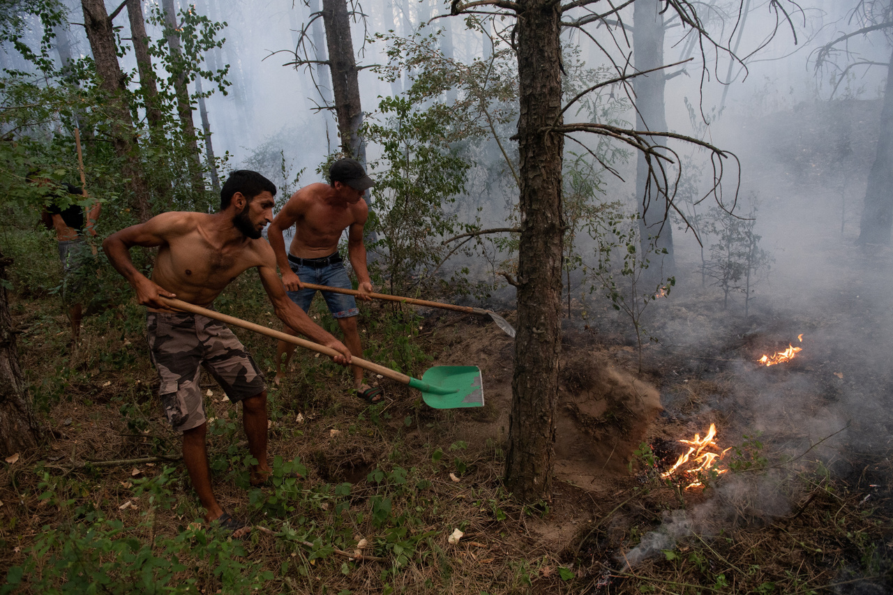 Helyiek próbálják meg eloltani az erdőtüzet Kecskemét határában - 2022. július 14.