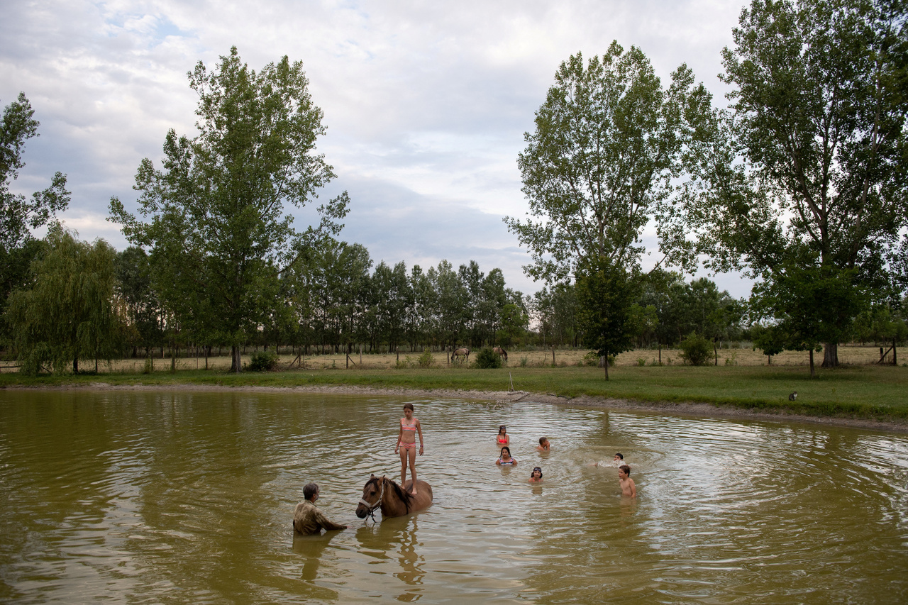 Eördögh András lótenyésztő tanyája tavában játszanak a lovas tábor gyerek résztvevői Jászszentlászló közelében - 2022. július 15.