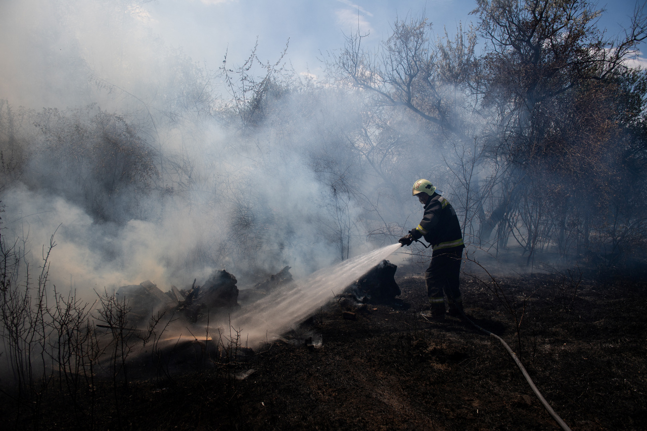 Tűzoltó küzd a lángokkal Algyő határában - 2022. július 14.