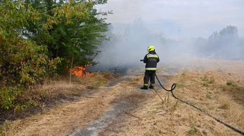 Budapest IX. kerületében kilenc hektáron égett a tűz