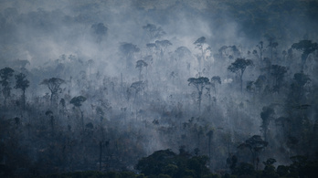 Amazóniában megnőtt az erdőtüzek száma, szándékos gyújtogatásokról számolnak be