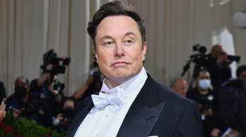 Apja szerint Elon Musknak le kellene fogynia