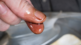 Mit tudhatsz meg a fáradt olajról ujjbeggyel?