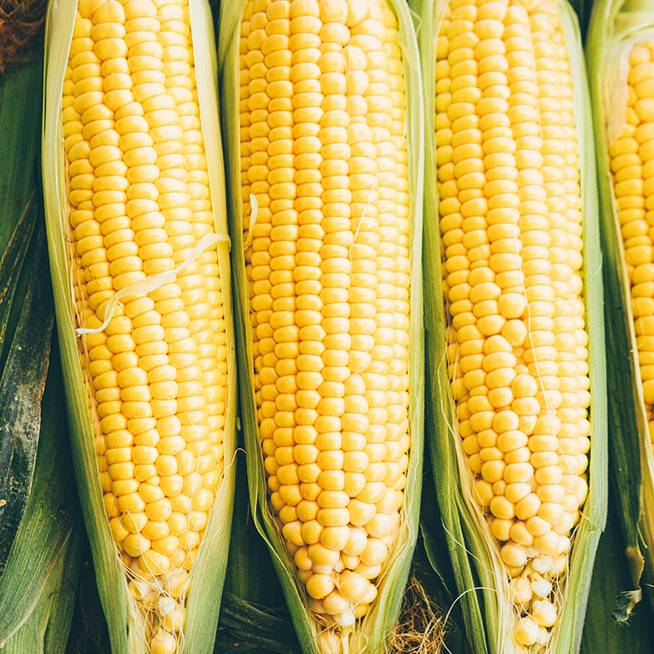 Így tedd el a csöves kukoricát télire: akár befőttesüvegbe is rejtheted