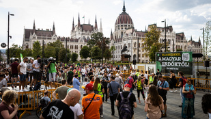 A magyar erdők tarvágása ellen tüntetnek a Kossuth téren
