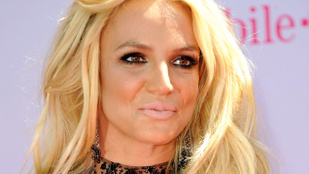 Börtönbe vonul Britney Spears exférje